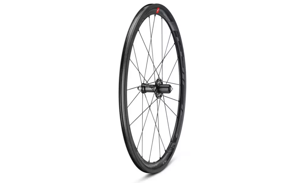 Jalgratta tagumine ratas Fulcrum Wind 40C C17 CL - 5