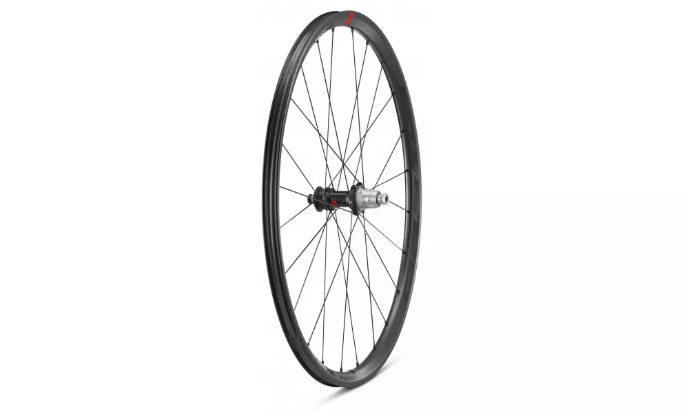 Jalgratta tagumine ratas Fulcrum Speed 25 DB 2WF C21 AFS HH12/142 USB - 8