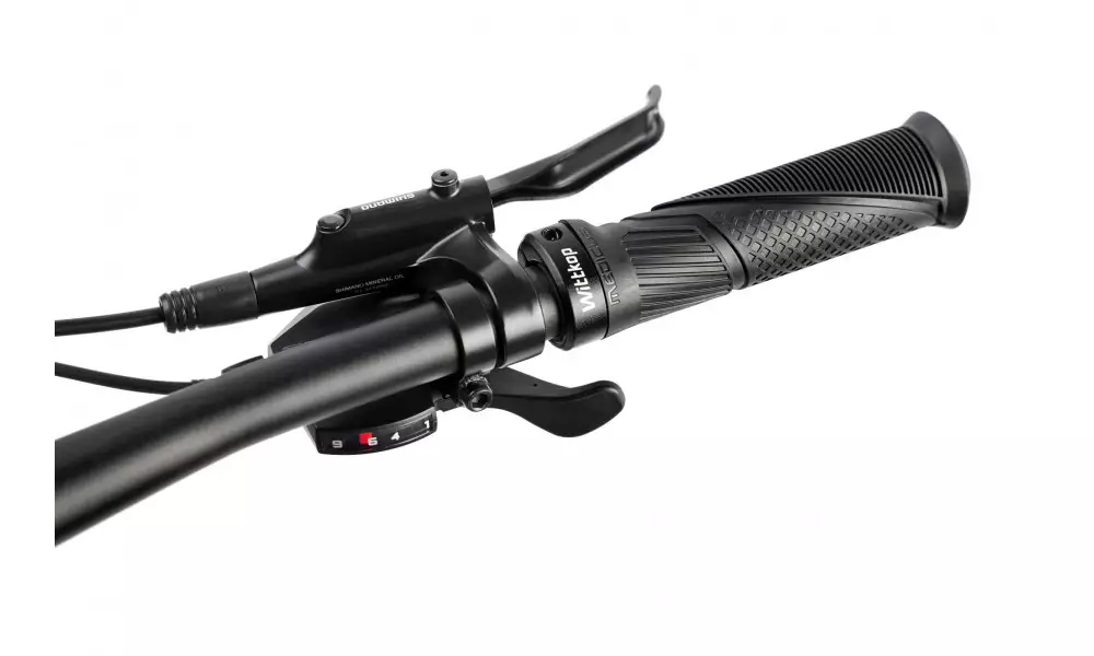 Elektrijalgratas Romet e-Mustang 1.0 720WH 2025 grey-black - 4