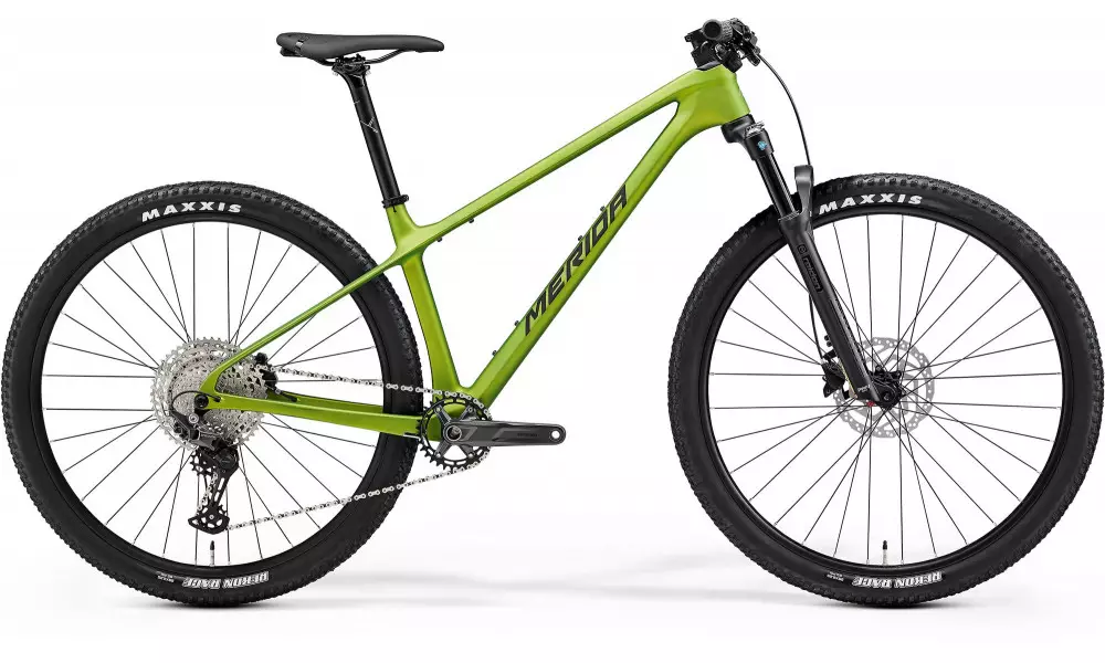 Jalgratas Merida Big.Nine 3000 III1 matt fall green(blk-slv-grn) 