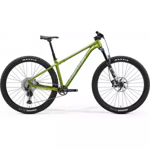 Jalgratas Merida Big.Trail 700 I1 silk fall green(silver-green)