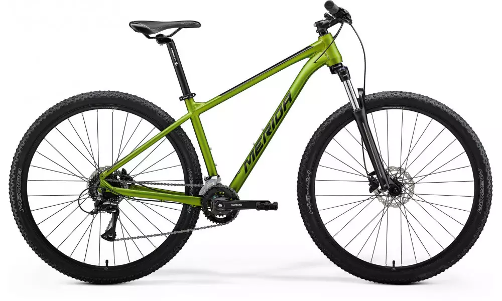 Jalgratas Merida Big.Nine 20 VI1 matt fall green(black) 