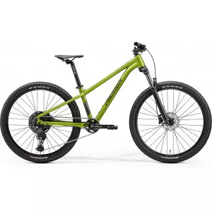 Jalgratas Merida Matts J. Champion III2 fall green(black-gunmetal gry)