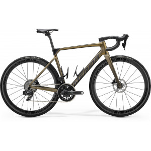 Jalgratas Merida Scultura 9000 V2 silk sparkling gold(black)