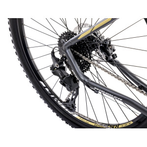 Jalgratas Romet Rambler R9.4 CS 2024 graphite-gold