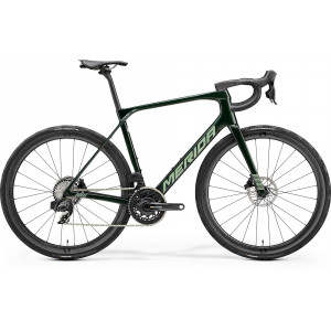 Jalgratas Merida Scultura Endurance 9000 II2 transparent green(slv-green)
