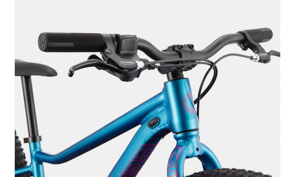 Jalgratas Cannondale Kids Trail Plus 24" deep teal - 2