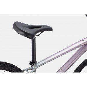 Jalgratas Cannondale Quick CX 2 Womens lavender