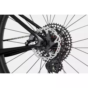Jalgratas Cannondale Scalpel 29" HT Carbon 1 mercury