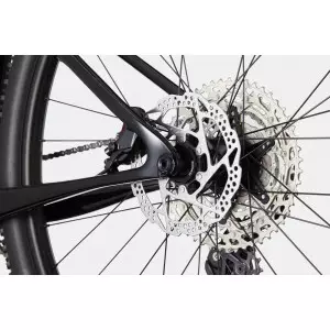 Jalgratas Cannondale Scalpel 29" HT Carbon 4 acid red