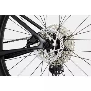 Jalgratas Cannondale Scalpel 29" HT Carbon 4 viper green