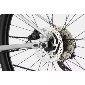 Jalgratas Cannondale Trail 29" SL 4 Womens purple