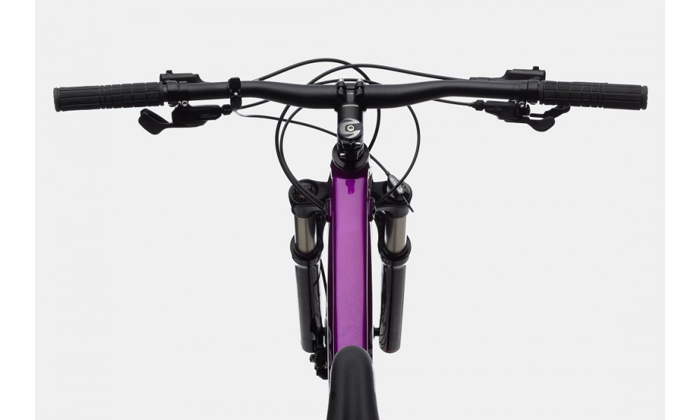 Jalgratas Cannondale Trail 29" SL 4 Womens purple - 6