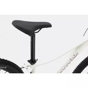 Jalgratas Cannondale Trail 29" 7 Womens iridescent