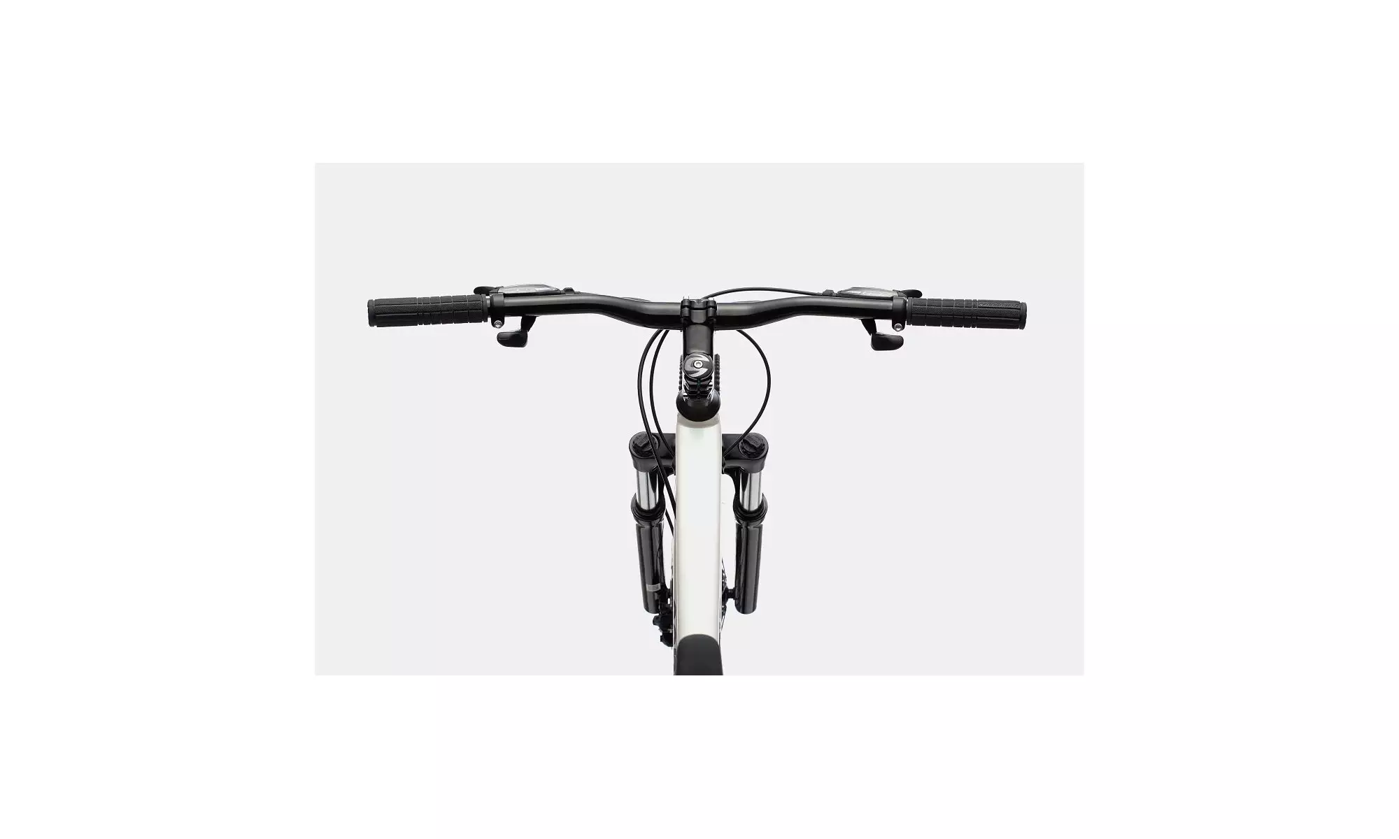 Jalgratas Cannondale Trail 29" 7 Womens iridescent - 6
