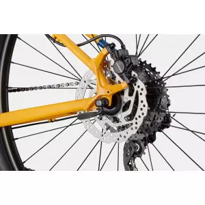 Jalgratas Cannondale Trail 29" 5 mango