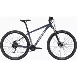 Jalgratas Cannondale Trail 29" 6 slate gray-alpine blue