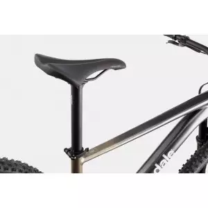 Jalgratas Cannondale Trail 29" SL 1 stealth grey