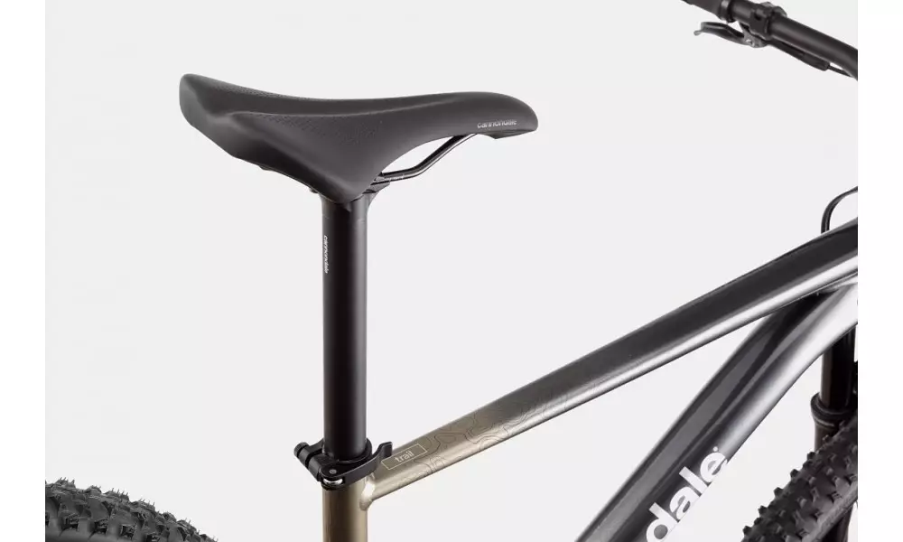 Jalgratas Cannondale Trail 29" SL 1 stealth grey - 2