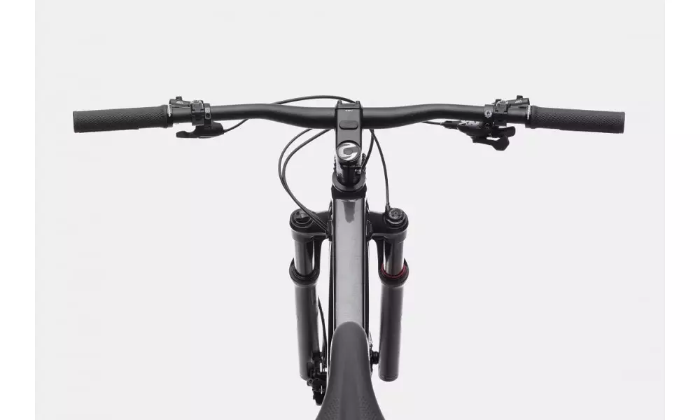 Jalgratas Cannondale Trail 29" SL 1 stealth grey - 6