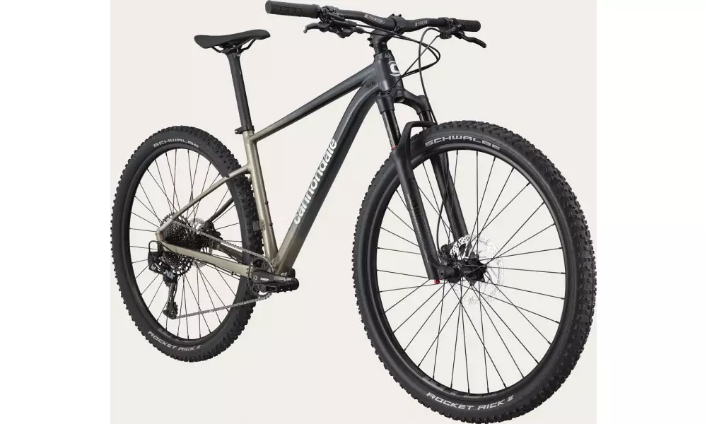 Jalgratas Cannondale Trail 29" SL 1 stealth grey - 7