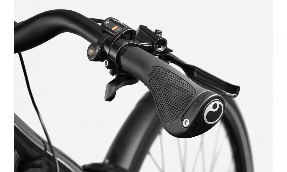 Elektrijalgratas Cannondale Mavaro Neo SL 1 graphite - 3