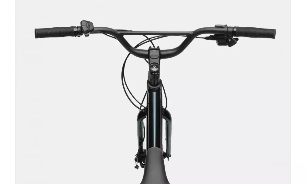 Elektrijalgratas Cannondale Treadwell Neo 2 Remixte gunmetal green with fine silver - 6