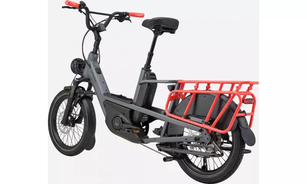 Elektrijalgratas Cannondale Cargowagen Neo 2 charcoal gray - 2