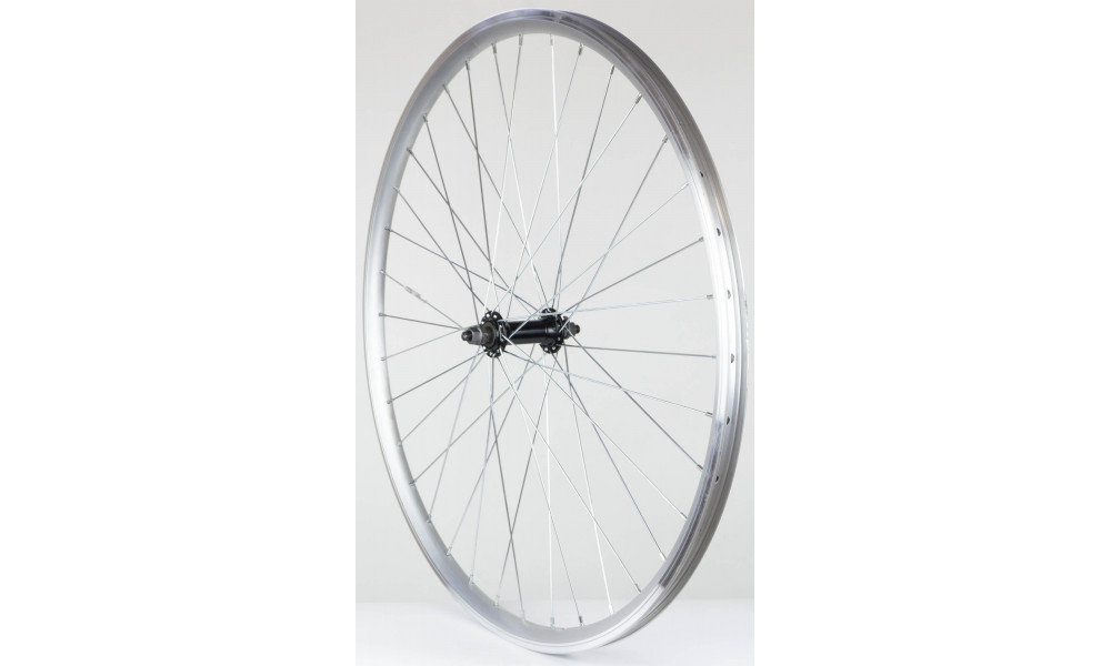 Esijooks 28" alloy hub, DoubleWall silver rim 