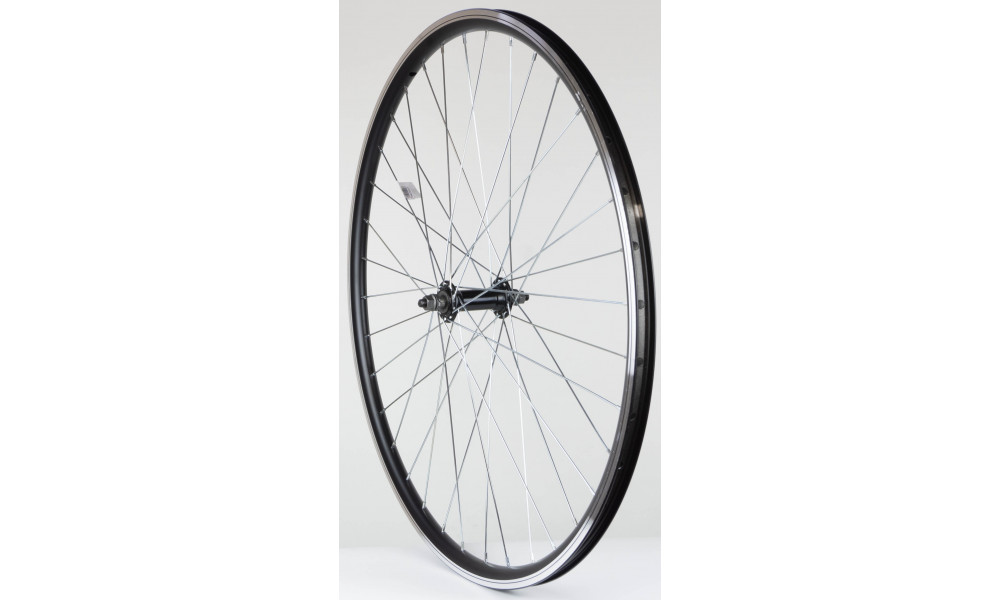 Esijooks 28" alloy hub, DoubleWall black rim 