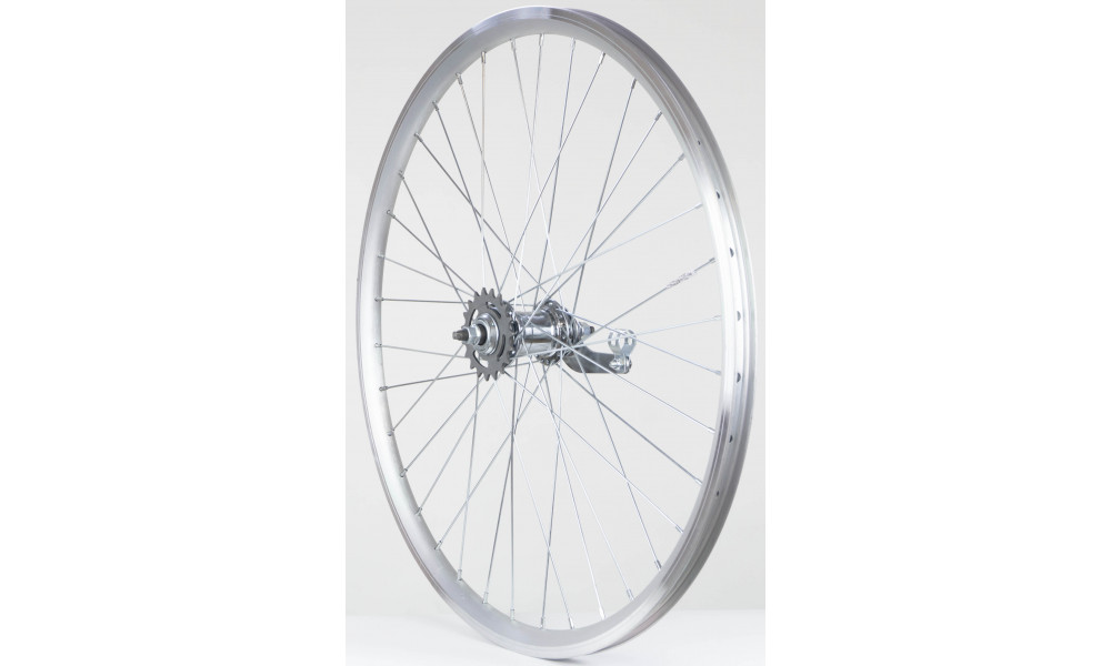 Tagajooks 26" Velosteel single speed hub, DoubleWall silver rim 