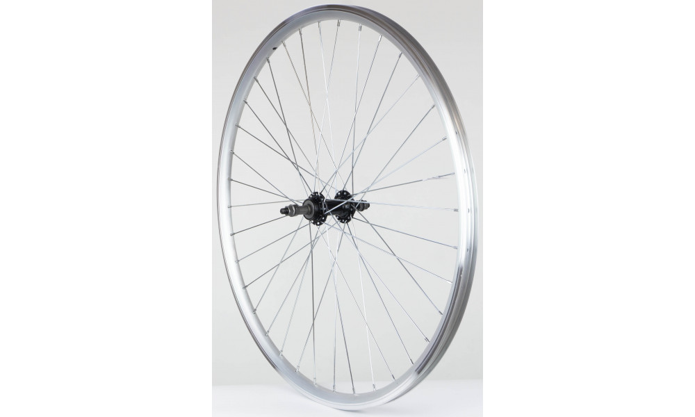 Tagajooks 28" alloy freewheel hub, DoubleWall silver rim 