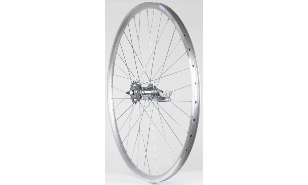 Tagajooks 28" Velosteel single speed hub, DoubleWall silver rim 