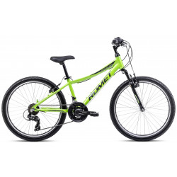 Jalgratas Romet Rambler 24 2024 green-graphite