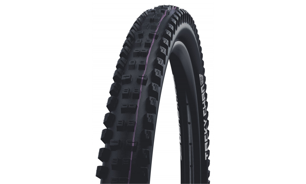 Väliskumm 29" Schwalbe Tacky Chan HS625, Evo Fold. TLE 62-622 / 29x2.40 Super Downhill - 1