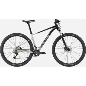 Jalgratas Cannondale Trail 29" SL 4 charcoal gray