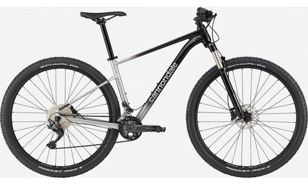 Jalgratas Cannondale Trail 29" SL 4 charcoal gray - 1