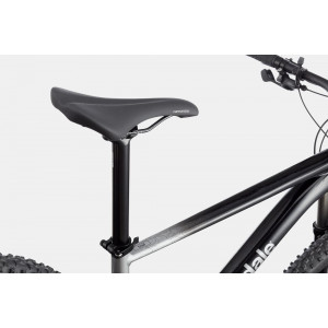 Jalgratas Cannondale Trail 29" SL 4 charcoal gray