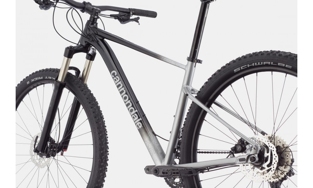 Jalgratas Cannondale Trail 29" SL 4 charcoal gray - 3