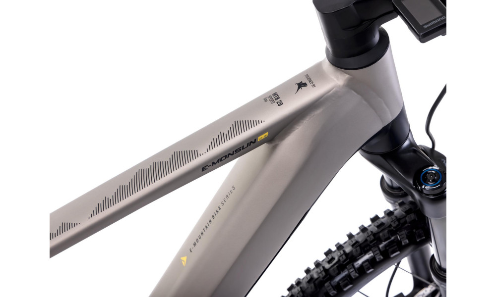 Elektrijalgratas Romet e-Monsun 2.0 830WH 2025 champane - 4