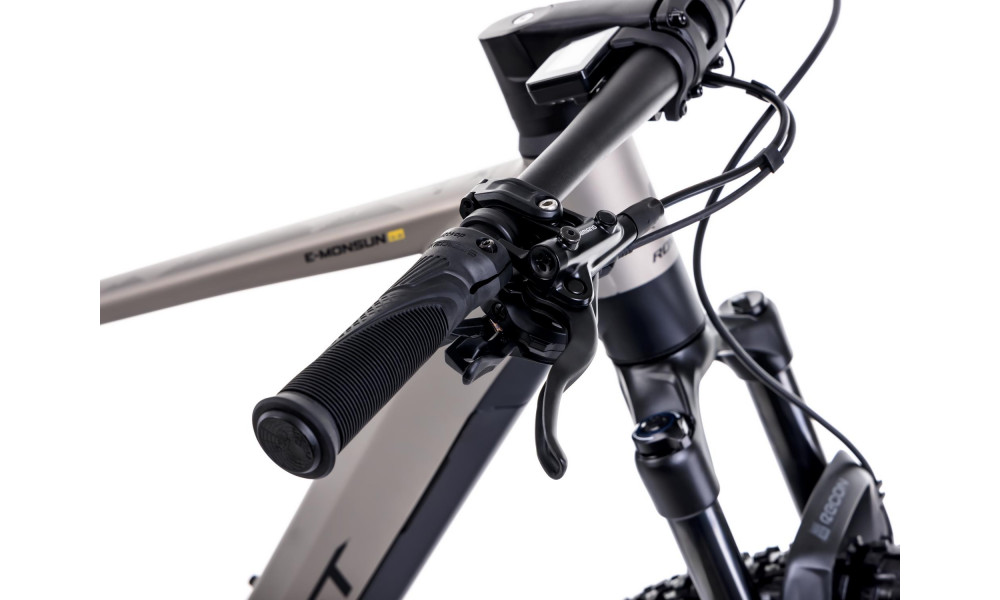 Elektrijalgratas Romet e-Monsun 2.0 830WH 2025 champane - 6