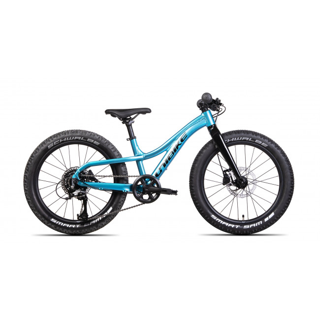 Jalgratas Unibike Dart 20 2024 blue