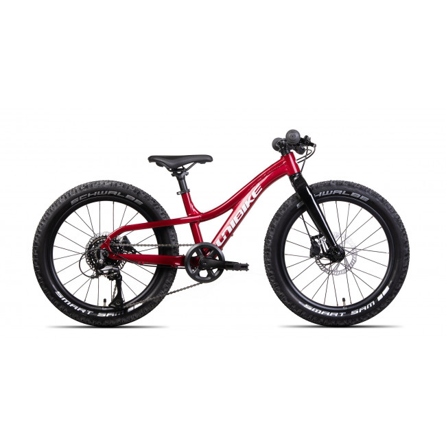 Jalgratas Unibike Dart 20 2024 red