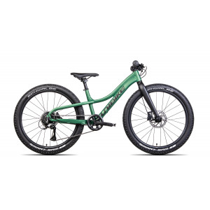 Jalgratas Unibike Rock 24 2024 green