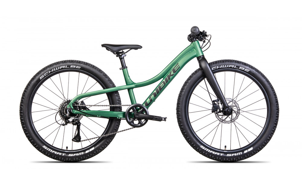 Jalgratas Unibike Rock 24 2024 green 