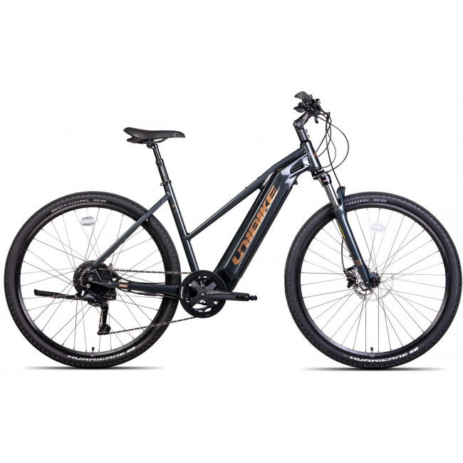 Elektrijalgratas Unibike Falcon LDS 2024 black