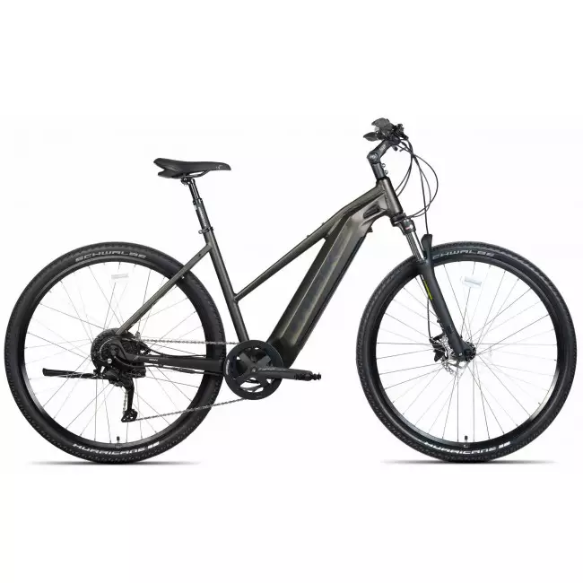 Elektrijalgratas Unibike Falcon LDS 2024 dark green