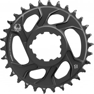 Hammasratas SRAM Eagle X-Sync2 Direct Mount CF alu -4mm offset 30T lunar grey