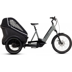 Elektrijalgratas Cube Trike Family Hybrid 750 swampgrey'n'reflex 2025