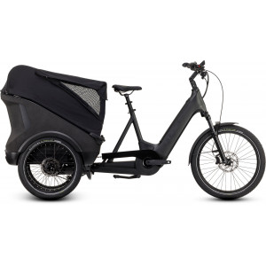 Elektrijalgratas Cube Trike Cargo Hybrid 750 grey'n'reflex 2025